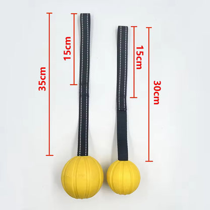Dog Toy Balls On a Rope for Small Medium Large Dogs Chewers, Durable Interactive Ball for Training Dogs, EVA Foam Ball Floats