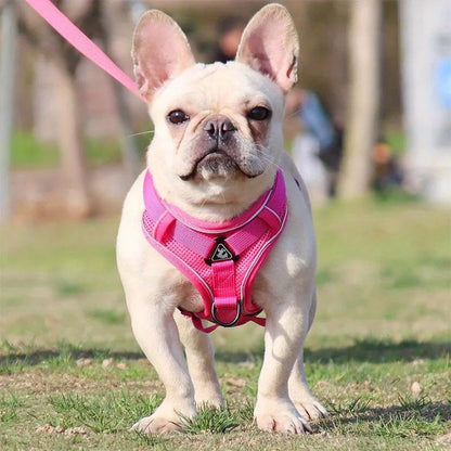 No Pull Dog Harness and Leash Set Adjustable Pet Harness Vest for Small Dogs Cats Reflective Dog Chest Strap Lead Walking