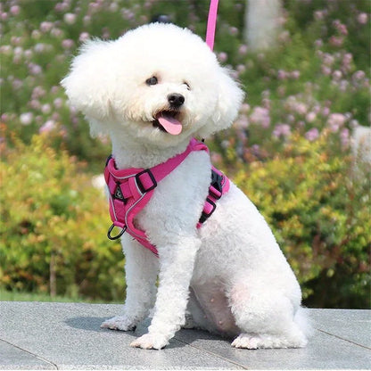 No Pull Dog Harness and Leash Set Adjustable Pet Harness Vest for Small Dogs Cats Reflective Dog Chest Strap Lead Walking