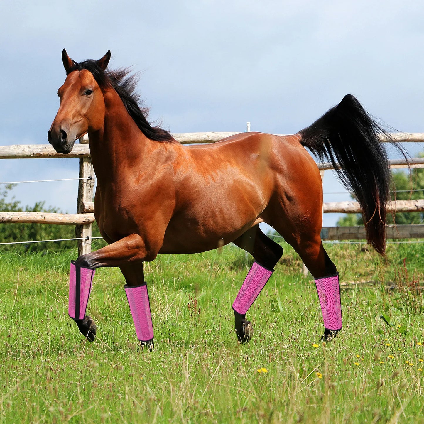 4PCS Fly Boot Horse Leg Mosquito Protective Cover Breathable Mesh Horse Boots Horse Leg Guards Horse Leg for Preventing Legs
