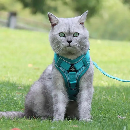 No Pull Dog Harness and Leash Set Adjustable Pet Harness Vest for Small Dogs Cats Reflective Dog Chest Strap Lead Walking
