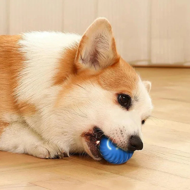 Smart Dog Toys Ball Electronic Interactive Pet Toy Moving Ball USB Automatic Moving Bouncing for Puppy Birthday gift Cat Product