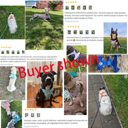Dog Breathable Harness NO PULL Pet Reflective Harness Vest For Small Large Dog Walk Training In Outdoor Lead Collar Pet Supplies