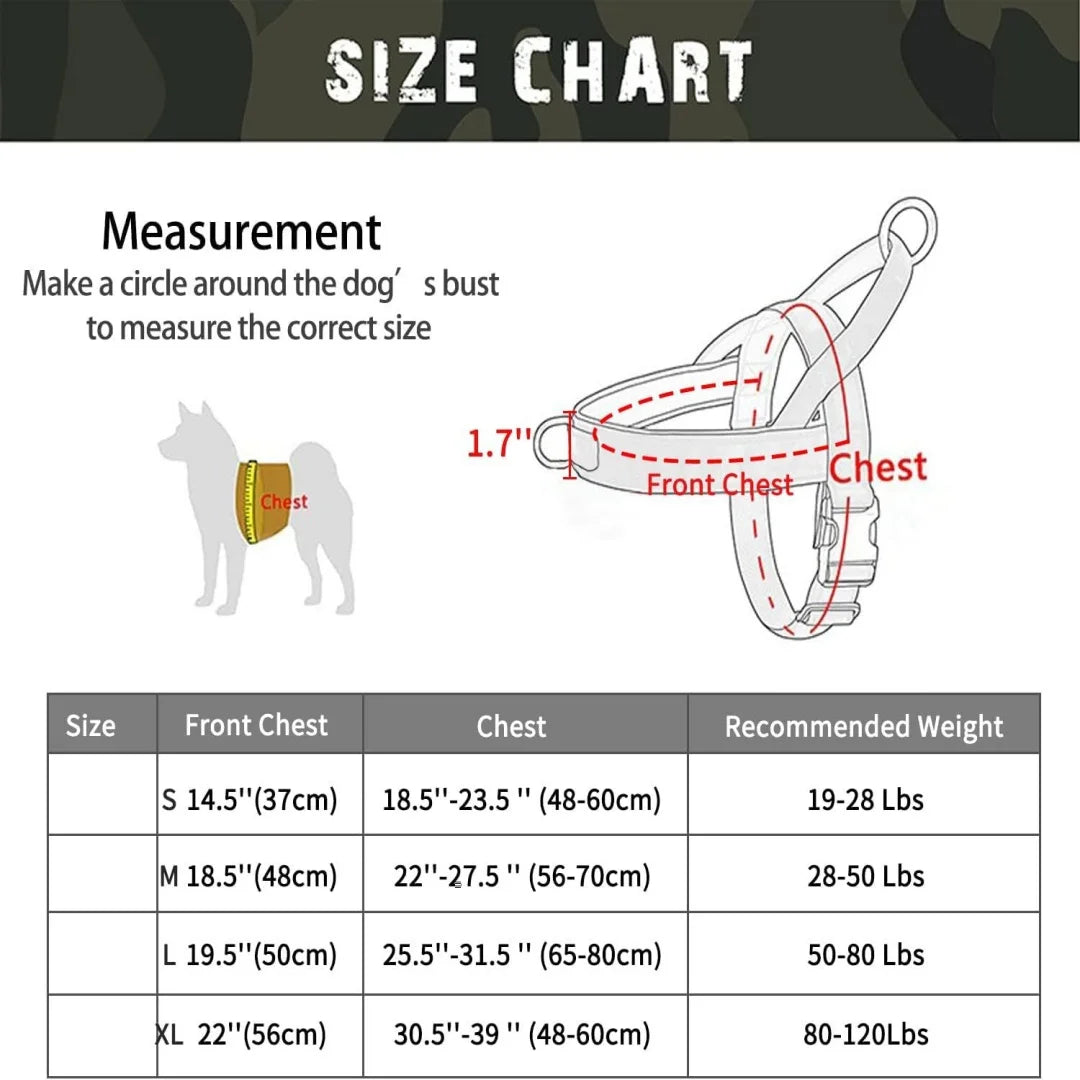 Dog Harness | Chafe Resistant Webbing, Adjustable Neck & Chest, and Heavy Duty D-Ring | Sturdy, Comfortable, Easy to Use