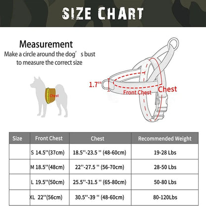 Dog Harness | Chafe Resistant Webbing, Adjustable Neck & Chest, and Heavy Duty D-Ring | Sturdy, Comfortable, Easy to Use
