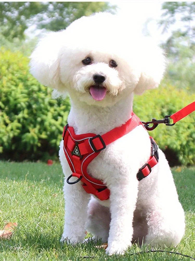 No Pull Dog Harness and Leash Set Adjustable Pet Harness Vest for Small Dogs Cats Reflective Dog Chest Strap Lead Walking