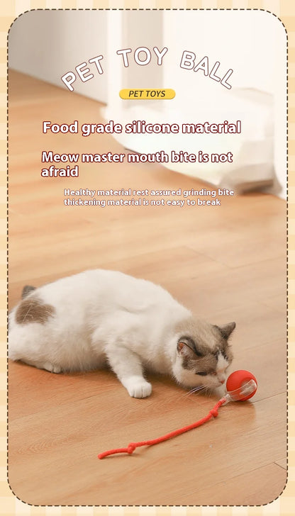 2Pcs Cat Interactive Ball Toys Automatic Rolling Ball Faux Tail Rechargeable Smart Pet Electric Toy Cat Training Imitate Mouse