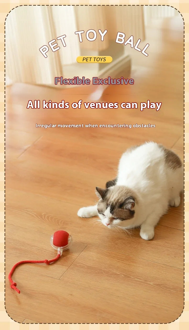 2Pcs Cat Interactive Ball Toys Automatic Rolling Ball Faux Tail Rechargeable Smart Pet Electric Toy Cat Training Imitate Mouse