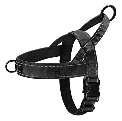 Dog Harness | Chafe Resistant Webbing, Adjustable Neck & Chest, and Heavy Duty D-Ring | Sturdy, Comfortable, Easy to Use
